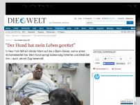 Bild zum Artikel: Von U-Bahn überrollt: 'Der Hund hat mein Leben gerettet'