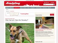 Bild zum Artikel: Münchens ärmster Hund: Wer hat ein Herz für Scooby?