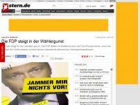 Bild zum Artikel: stern-RTL-Wahltrend: Die FDP steigt in der Wählergunst