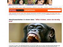Bild zum Artikel: Abschlussarbeiten in einem Satz: 'Affen trinken, wenn sie durstig sind'