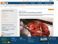 Bild zum Artikel: 'Rinderwahnsinn'  - 
BSE bei Rind in Brandenburg entdeckt