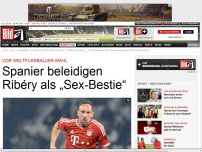 Bild zum Artikel: Vor Weltfußballer-Wahl - Spanier beleidigen Ribéry als „Sex-Bestie“