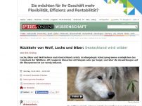 Bild zum Artikel: Rückkehr von Wolf, Luchs und Biber: Deutschland wird wilder