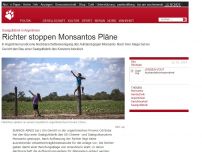 Bild zum Artikel: Saatgutfabrik in Argentinien: Richter stoppen Monsantos Pläne