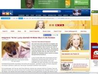 Bild zum Artikel: Terrier Lucky überlebt 40-Meter-Sturz