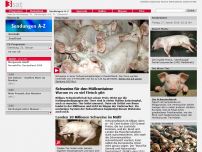 Bild zum Artikel: Schweine für den Müllcontainer - Warum es zu viel Fleisch gibt