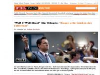 Bild zum Artikel: 'Wolf Of Wall Street'-Star DiCaprio: 'Drogen unterdrücken den Selbsthass'