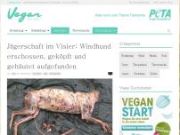 Bild zum Artikel: Jägerschaft im Visier: Windhund erschossen, geköpft und gehäutet aufgefunden