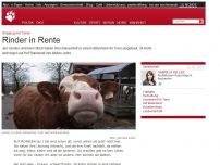 Bild zum Artikel: Umgang mit Tieren: Rinder in Rente