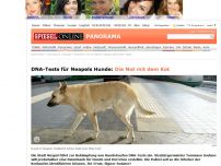 Bild zum Artikel: DNA-Tests für Neapels Hunde: Die Not mit dem Kot