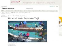 Bild zum Artikel: Delfinjagd in Japan: Gemetzel in der Bucht von Taiji