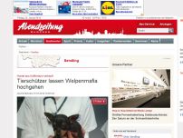 Bild zum Artikel: Hunde aus Kofferraum verkauft: Tierschützer lassen Welpenmafia hochgehen