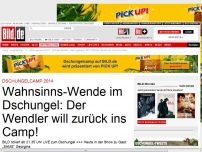 Bild zum Artikel: Dschungelcamp 2014 - Wendler will zurück ins Camp!