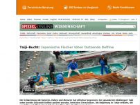 Bild zum Artikel: Taiji-Bucht: Japanische Fischer töten Dutzende Delfine