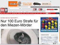 Bild zum Artikel: Katze ins Klo gestopft - Nur 100 Euro Strafe für den Miezen-Mörder