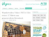 Bild zum Artikel: Wundervolles Video: PETA USA rettet 17 Bären aus grauenvollem Betonloch