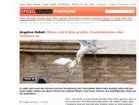 Bild zum Artikel: Angelus-Gebet: Möwe und Krähe greifen Friedenstauben des Vatikans an