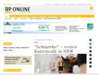Bild zum Artikel: Köln - 'Schnurrke' - erstes Katzencafé in NRW