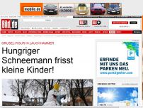 Bild zum Artikel: Grusel in Lauchhammer - Dieser Schneemann frisst kleine Kinder!