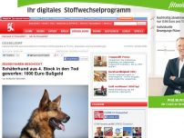 Bild zum Artikel: Zeugen waren geschockt  - Schäferhund aus 4. Stock in den Tod geworfen: 1000 Euro Bußgeld