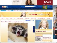 Bild zum Artikel: Golden Retriever adoptiert Katzenbaby