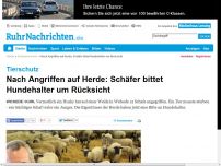 Bild zum Artikel: Dortmunder Schäfer bittet Hundehalter um Rücksicht
