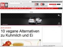 Bild zum Artikel: Zehn um Zehn - 10 vegane Alternativen zu Kuhmilch und Ei