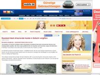 Bild zum Artikel: Die armen Teufel von Sotschi