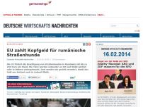 Bild zum Artikel: EU zahlt Kopfgeld für rumänische Straßenhunde