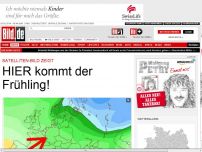 Bild zum Artikel: Satelliten-Bild zeigt: - HIER kommt der Frühling!