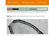 Bild zum Artikel: Sibirien: 30.000 Jahre eingefrorenes Virus zum Leben erweckt