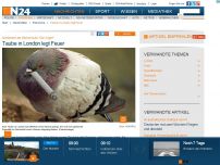 Bild zum Artikel: Schlimmer als Hitchchocks “Vögel” - 
Taube in London legt Feuer