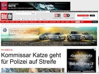 Bild zum Artikel: Po-MIEZ-ei - Kommissar Katze geht für Polizei auf Streife