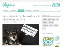 Bild zum Artikel: Neues Gesetz in Chicago kommt Tierheimen zu Hilfe