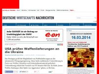 Bild zum Artikel: USA prüfen Waffenlieferungen an die Ukraine