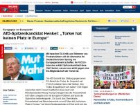 Bild zum Artikel: Eurogegner vor Europawahl - AfD-Spitzenkandidat Henkel: „Türkei hat keinen Platz in Europa“