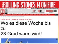 Bild zum Artikel: Donnerstag 23 Grad! - Lesen Sie mal, wo der Frühling zuschlägt!