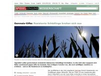 Bild zum Artikel: Genmais-Gifte: Resistente Schädlinge breiten sich aus