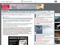 Bild zum Artikel: Tsunami der Widerstandsfluten soll Madrid überfluten