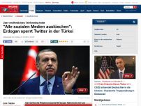 Bild zum Artikel: 'Solche Sachen mit der Wurzel ausreißen' - Erdogan sperrt Kurznachrichtendienst Twitter