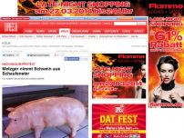 Bild zum Artikel: Nach Muslim-Protest - Metzger nimmt Schwein aus Schaufenster