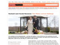 Bild zum Artikel: Hochzeit nach Hunde-Romanze: Vier Pfoten und ein Halleluja