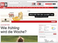 Bild zum Artikel: Jojo-Wetter - Wie frühling wird die Woche?