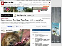 Bild zum Artikel: Neues vom 'Postillon': Kopenhagener Zoo lässt Tierpfleger (59) einschläfern
