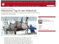 Bild zum Artikel: Gericht verbietet Japan Walfang: Historischer Tag für den Walschutz
