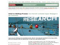 Bild zum Artikel: Urteil im Walfang-Prozess: Uno-Gericht verbietet Walfang in der Antarktis