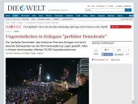 Bild zum Artikel: Türkei: Ungereimtheiten in Erdogans 'perfekter Demokratie'