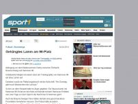 Bild zum Artikel: Gehängtes Lamm am 96-Platz