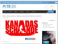 Bild zum Artikel: Kanadas Schande