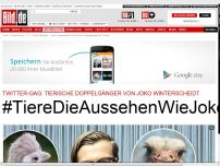 Bild zum Artikel: Circus HalliGalli - Fieser Twitter-Gag: Tiere, die aussehen wie Joko